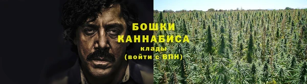 марки nbome Заводоуковск