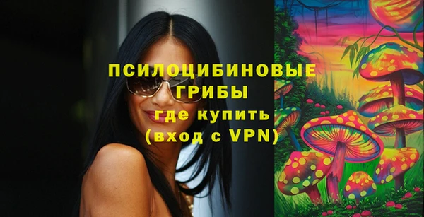 марки nbome Заводоуковск
