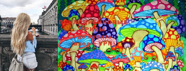 марки nbome Заводоуковск
