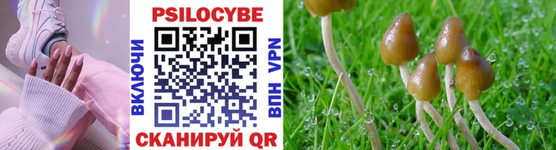 Купить закладки  Пятигорск  Псилоцибиновые грибы Psilocybine cubensis 